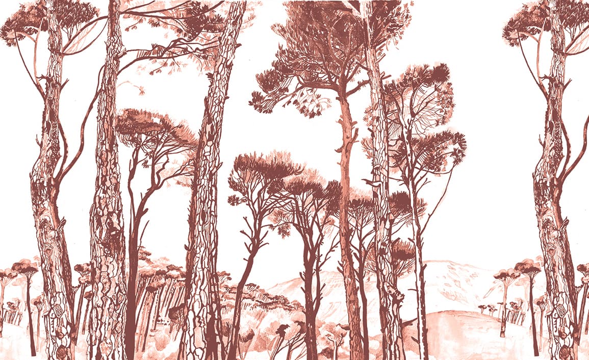 Pins parasols Papier Peint Panoramique Haut De Gamme Inaltera